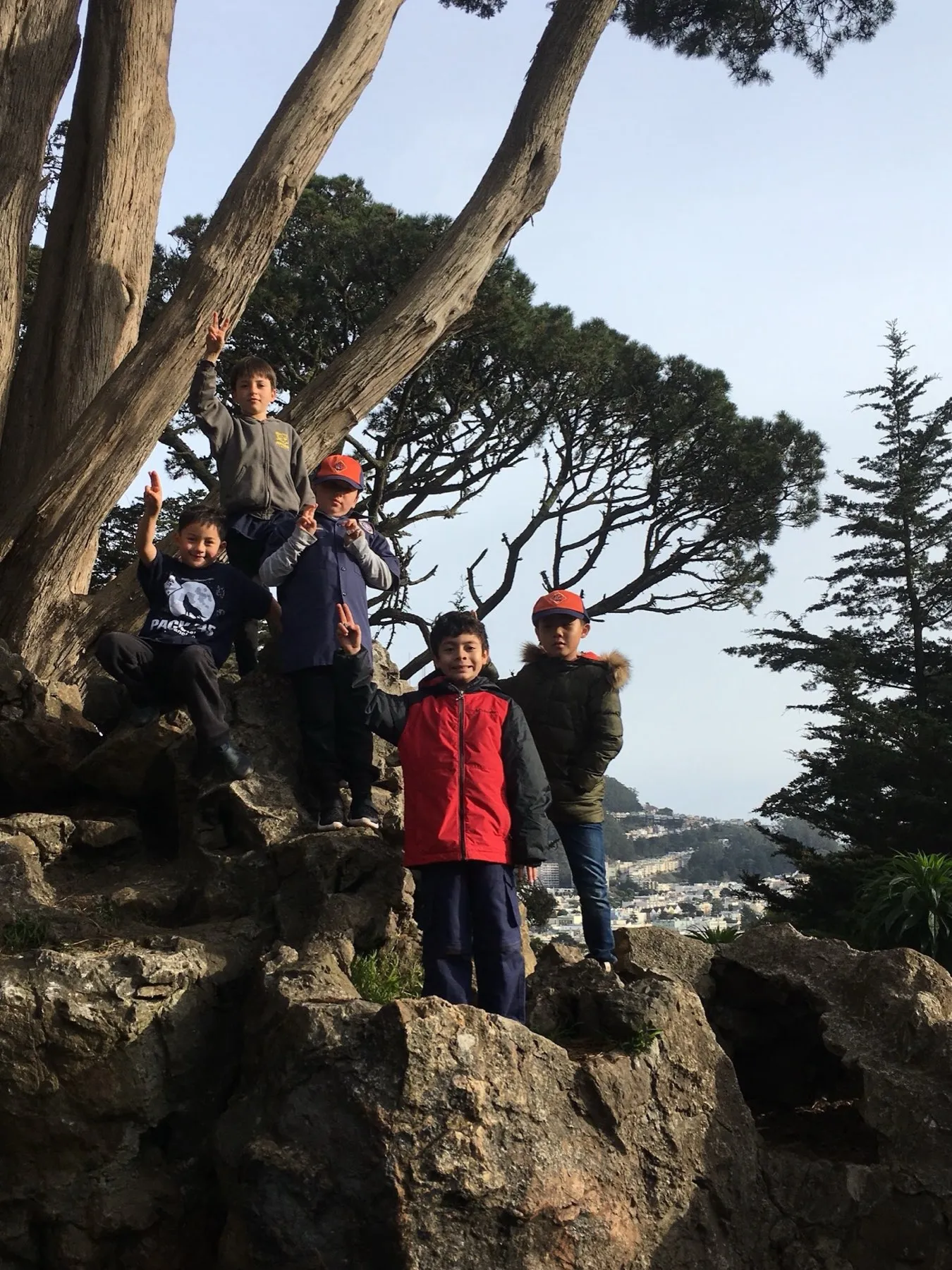 Scouts climbing among cypress trees above the city